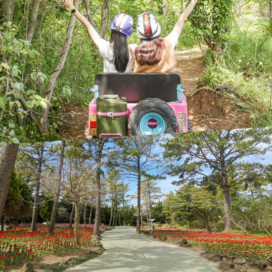 토이레저 택1(버기카or미니지프)+한림공원